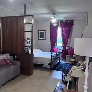 La Nueva Reina Alghero